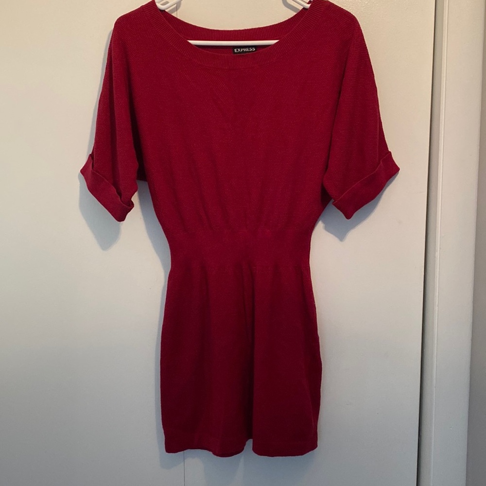 Express XS Sweater Dress